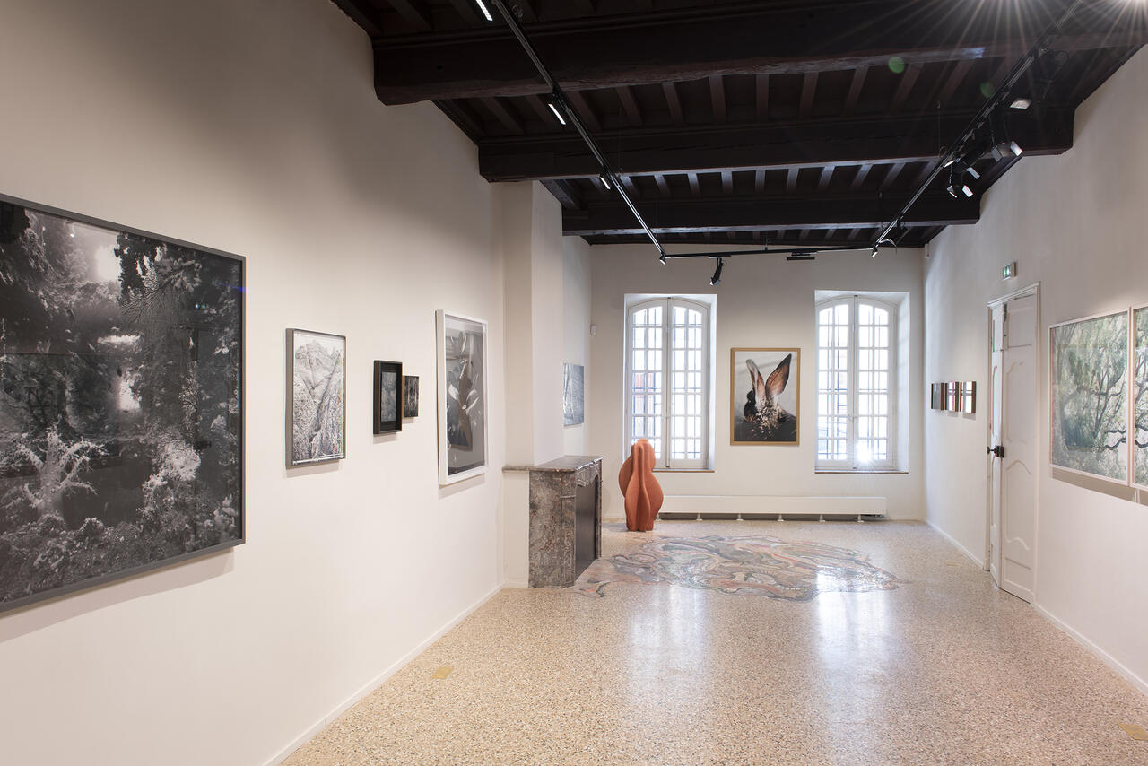 Fondation Thalie, Arles